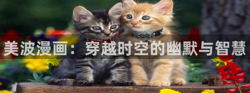 歪歪漫画专给成年人看的漫画